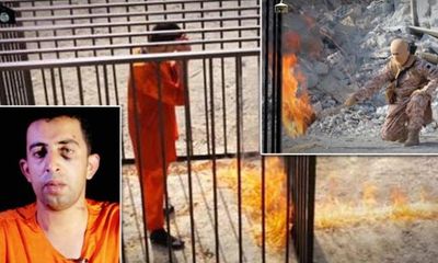 Thế giới lên án hành động thiêu sống phi công Jordan của IS