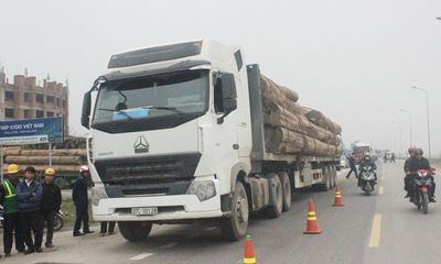19 xe chở gỗ quá tải bị phạt gần 200 triệu đồng