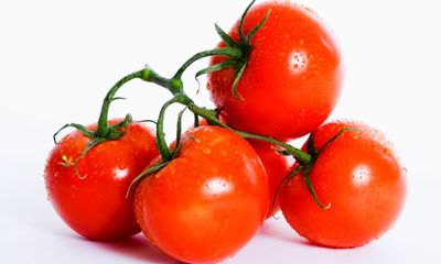 5 điều cấm kỵ nhiều người hay mắc khi ăn cà chua