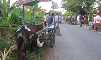 Định tội cho con ngựa kéo xe gây tai nạn chết người ở Tiền Giang