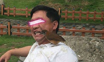 Đại gia Trung Quốc dùng chim để... xỉa răng