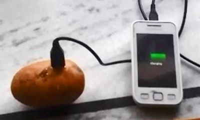 Bí kíp sạc pin điện thoại bằng...khoai tây