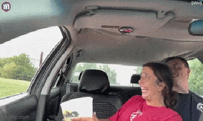 Video: Cô gái có phản ứng hài hước khi thấy đà điểu, bò rừng chồm vào ô tô kiếm ăn
