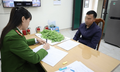 Lạng Sơn: Phát hiện gần 1.000 cây thuốc phiện trồng trái phép trong vườn nhà dân