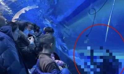 Trung Quốc: Thợ lặn tử vong ngay trước mắt du khách tham quan thủy cung