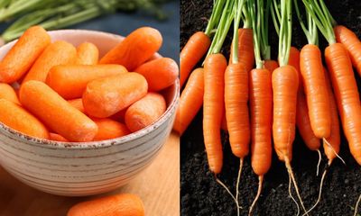 Những người không nên ăn cà rốt kẻo mang bệnh vào người