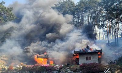 Cháy rừng ở Hàn Quốc, hơn 2.300 lính cứu hỏa nỗ lực dập lửa