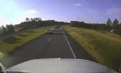 Nhường đường cho rùa, tài xế gây tai nạn liên hoàn trên cao tốc