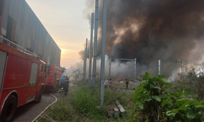 Đồng Nai: Cháy lớn ở xưởng gỗ ép trong lúc công nhân đang làm việc