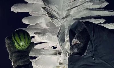 Các nhà khoa học Nga thành công trồng dưa hấu ở Nam Cực