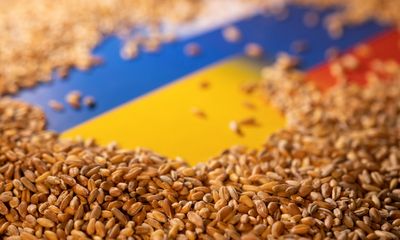 Tin tức Ukraine mới nhất ngày 2/8: Ukraine tìm được tuyến đường xuất khẩu ngũ cốc mới