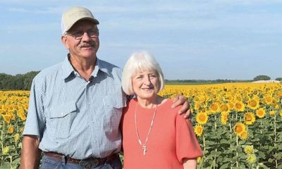 Người đàn ông trồng 1,2 triệu bông hướng hương tặng vợ nhân kỷ niệm 50 năm ngày cưới