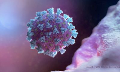 Mỹ thông báo phát hiện biến thể mới của virus SARS-CoV-2 