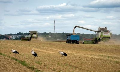 Thêm một quốc gia EU từ chối nhập khẩu ngũ cốc giá rẻ của Ukraine