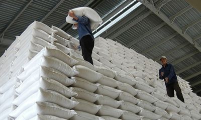 Xuất cấp hơn 7.300 tấn gạo cho 9 địa phương, hỗ trợ người dân dịp Tết Nguyên Đán