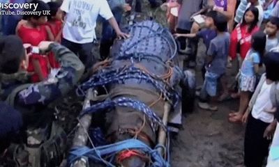 Cận cảnh con cá sấu nặng 1088kg, từng là ác mộng với người dân Philippines 