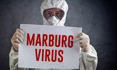 Sức khoẻ - Làm đẹp - BV Chợ Rẫy cách ly như thế nào đối với các ca nghi nhiễm virus Marburg?