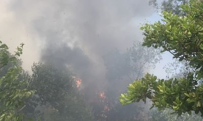 Quảng Nam: Hơn 20 hecta rừng phòng hộ bị cháy