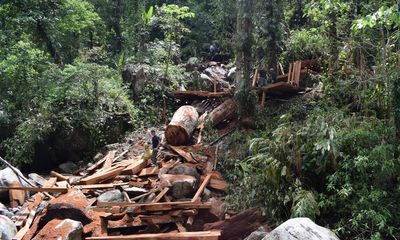 Bắt giữ các đối tượng trong vụ phá rừng phòng hộ ở Lai Châu