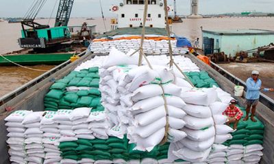 Xuất khẩu gạo trong 8 tháng đạt mức cao nhất từ trước đến nay 