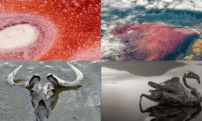 Hồ đáng sợ nhất thế giới: Nước hồ đỏ như máu, động vật sẽ hóa đá khi gặp nước hồ
