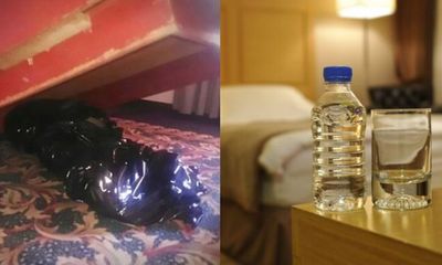 Nữ tiếp viên hàng không tiết lộ lý do vì sao luôn ném chai nước vào gầm giường khách sạn