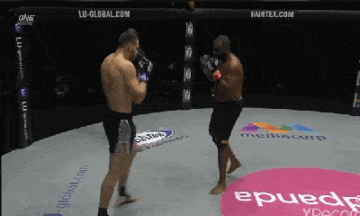 Video: Võ sĩ MMA tung cú đá 