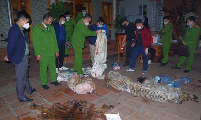 Giết mổ hổ nấu cao, một chủ tịch xã ở Thái Nguyên bị bắt giữ