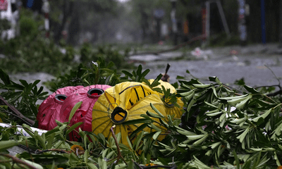 Tin trong nước - Đà Nẵng, Hội An sau bão số 4: Cây đổ la liệt, đường phố ngổn ngang