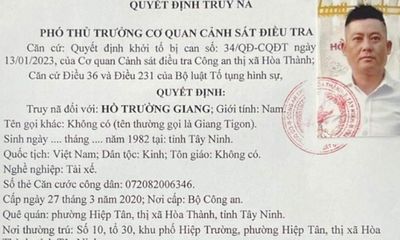 Tin tức pháp luật mới nhất ngày 20/1: Truy nã Hồ Trường Giang cố ý làm hư hỏng tài sản