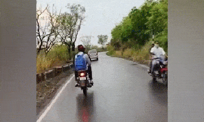Video: Thót tim cảnh 2 thanh niên đang đi xe máy chạm trán với báo hoa mai