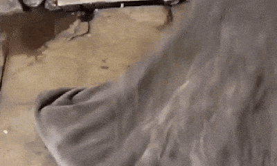 Video: Lật tấm chăn của người đàn ông vô gia cư, giật mình cả đàn chuột nhung nhúc
