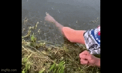 Video: Ngỡ ngàng khoảnh khắc chàng trai câu được cá bằng tay không