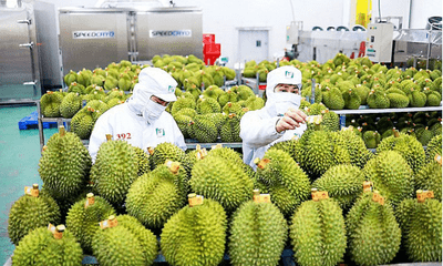 Kỷ lục kim ngạch xuất khẩu rau quả Việt Nam đạt hơn 1 tỷ đô trong quý I/2024