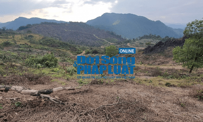 Tuyên Quang: Tan hoang rừng phòng hộ