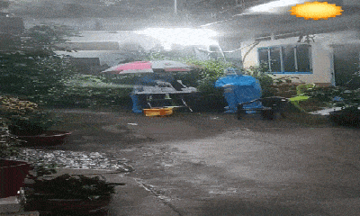 Video: Ấm lòng cảnh người dân chạy đến tặng ô cho tình nguyện viên giữa trời mưa 