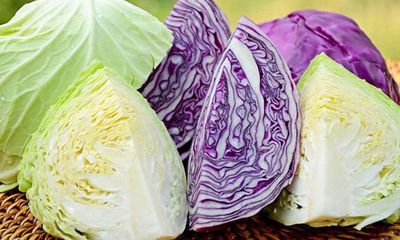 5 nhóm người cần đặc biệt chú ý khi ăn rau bắp cải 