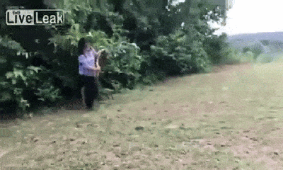 Video: Tròn mắt chứng kiến cô gái dùng tay không tóm gọn con rắn “khủng”