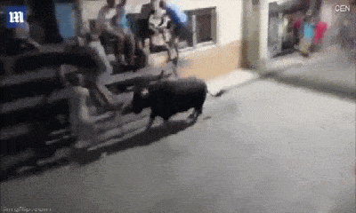 Video: Bò đực nổi điên húc văng du khách lên không trung