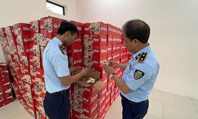 Hà Nội: Tạm giữ cả nghìn thùng bánh bông lan nghi nhập lậu