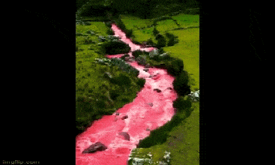 Ngỡ ngàng trước con sông có màu nước hồng rực bí hiểm ở Peru