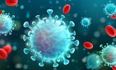 Sức khoẻ - Làm đẹp - Tế bào nhiễm virus SARS-CoV-2 có thể “phát nổ”?