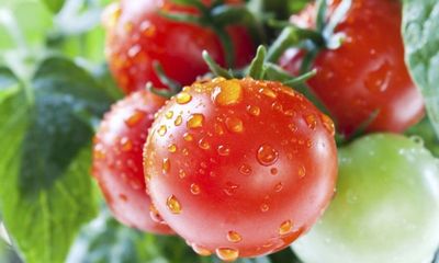 6 sai lầm tai hại khi ăn cà chua rất nhiều người mắc