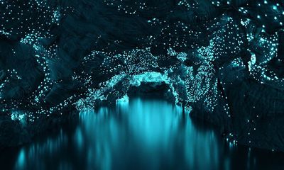 Mê mẩn trước vẻ đẹp kỳ ảo của hang động đom đóm ở New Zealand