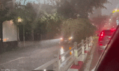 Video: Hà Nội mưa lớn giờ tan tầm, cây xanh gãy đổ đè trúng ô tô