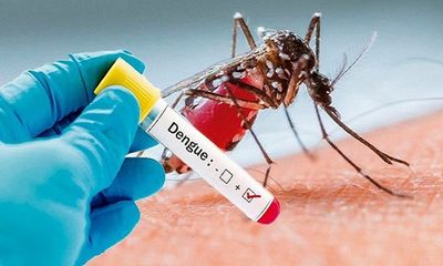 Cứu sống bệnh nhân 31 tuổi sốc sốt xuất huyết Dengue biến chứng viêm cơ tim