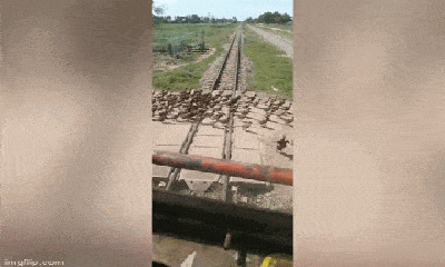 Hàng trăm con vịt nối đuôi nhau băng qua đường ray khiến tàu hỏa phải dừng đợi