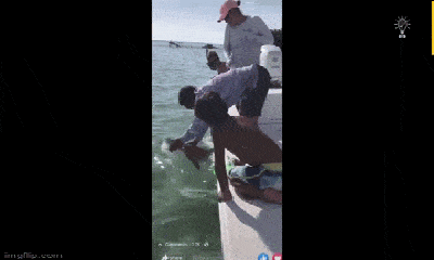 Người đàn ông gặp tai nạn thót tim khi gỡ lưới câu khỏi miệng cá mập chanh