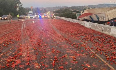 Xe tải lật nghiêng khiến hơn 150.000 quả cà chua rơi xuống, 