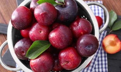 7 loại trái cây giúp ngăn ngừa lão hóa da cực hiệu quả